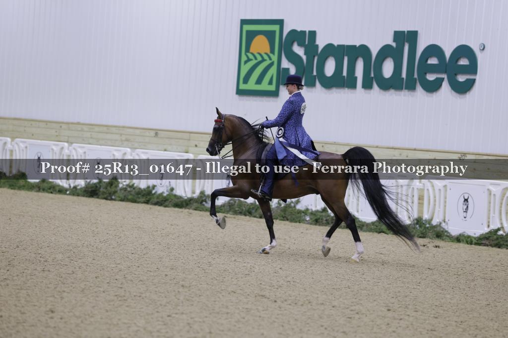 Proof 25R13_01647