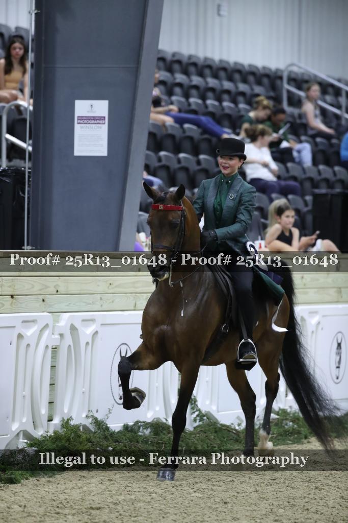 Proof 25R13_01648