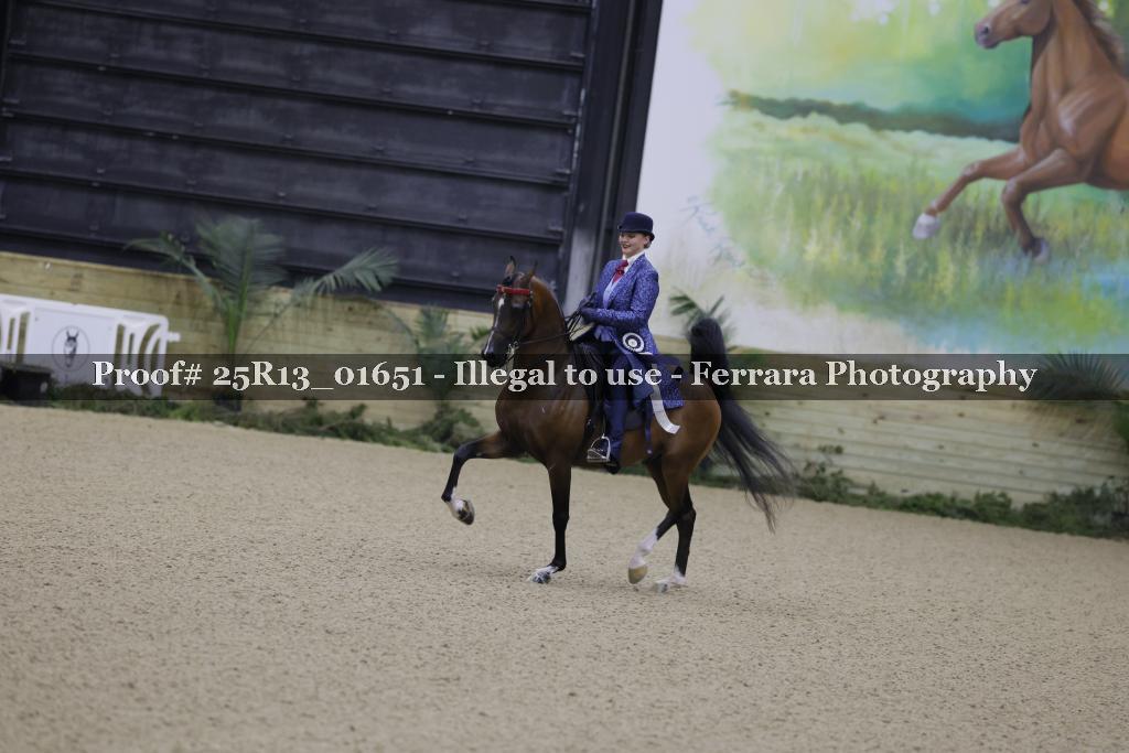 Proof 25R13_01651