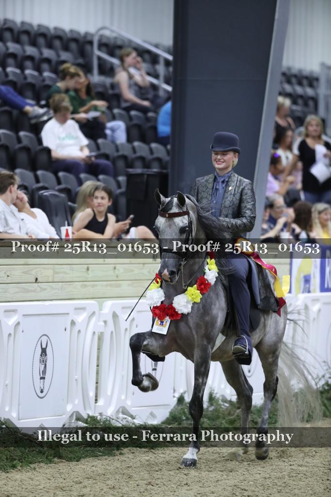 Proof 25R13_01653