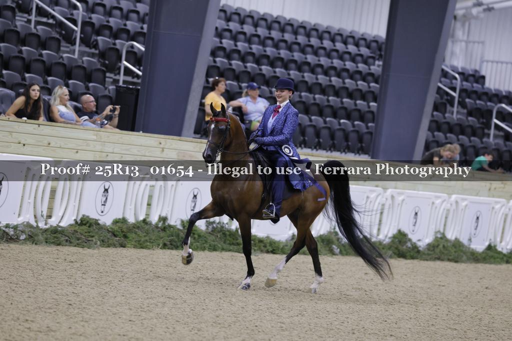 Proof 25R13_01654