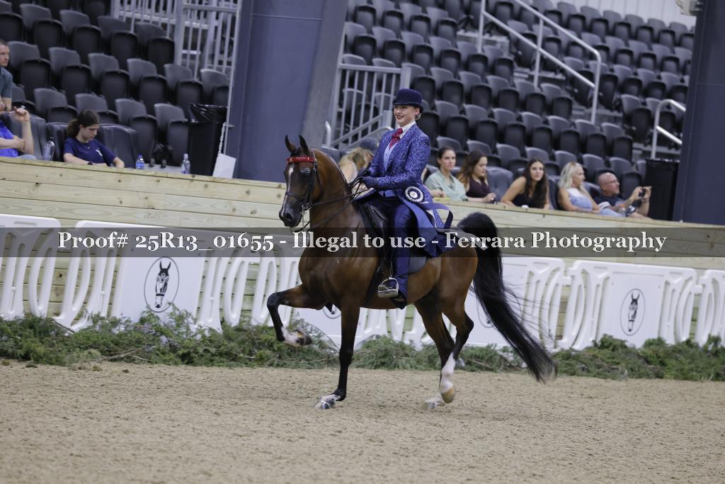 Proof 25R13_01655