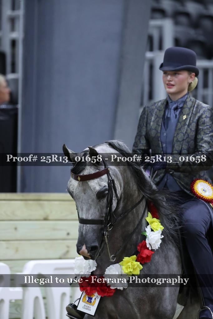 Proof 25R13_01658