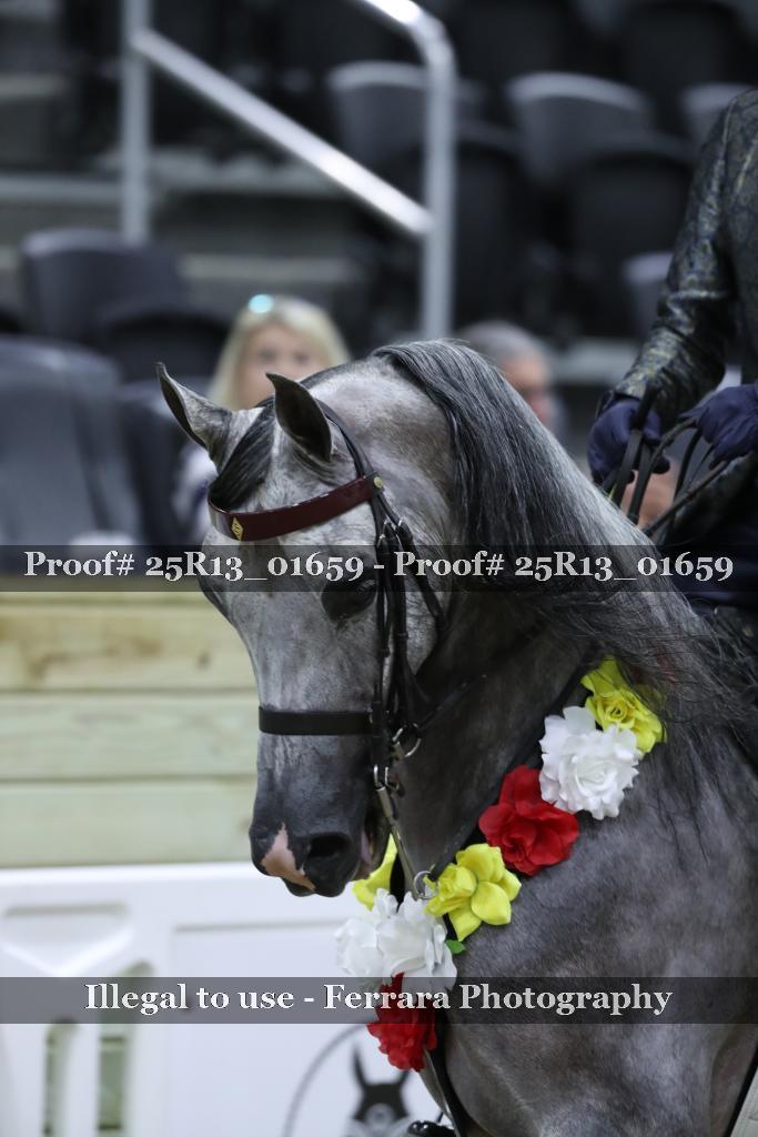 Proof 25R13_01659