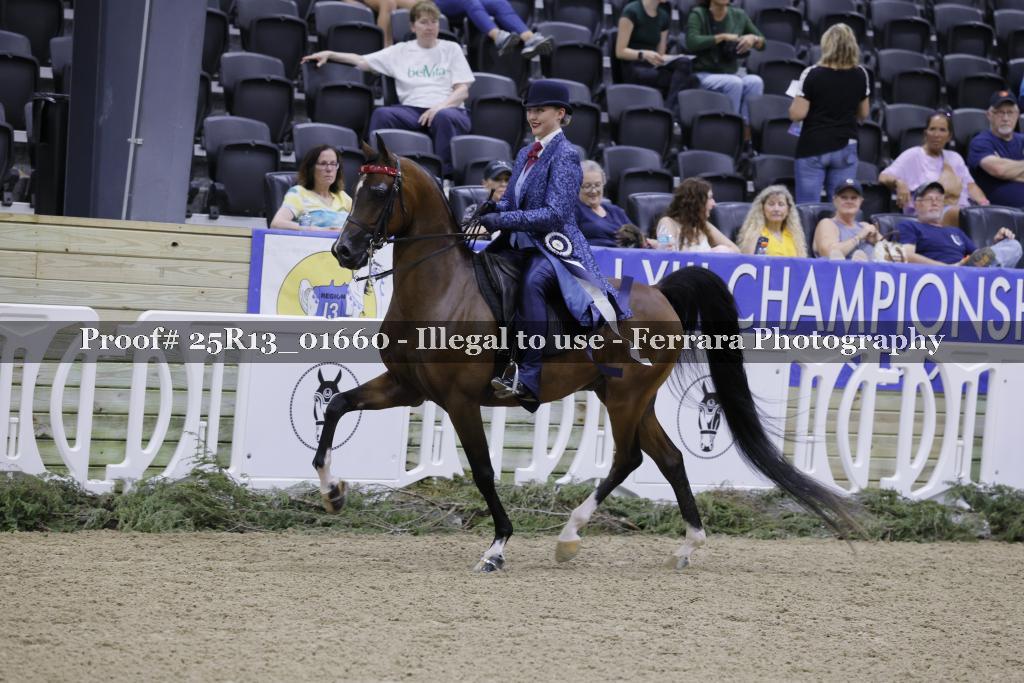 Proof 25R13_01660
