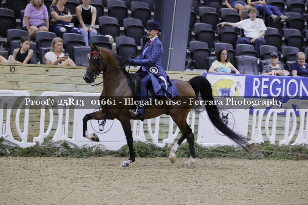 Proof 25R13_01661