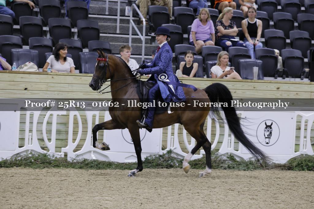 Proof 25R13_01662