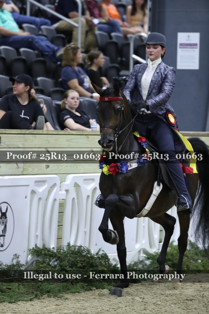 Proof 25R13_01663