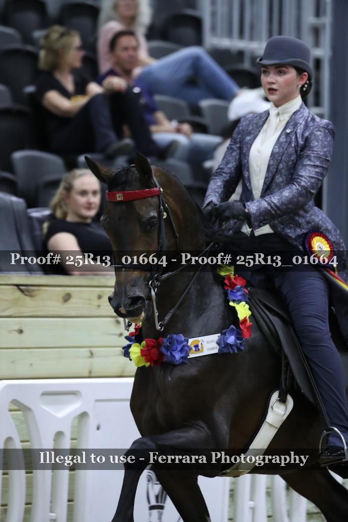 Proof 25R13_01664