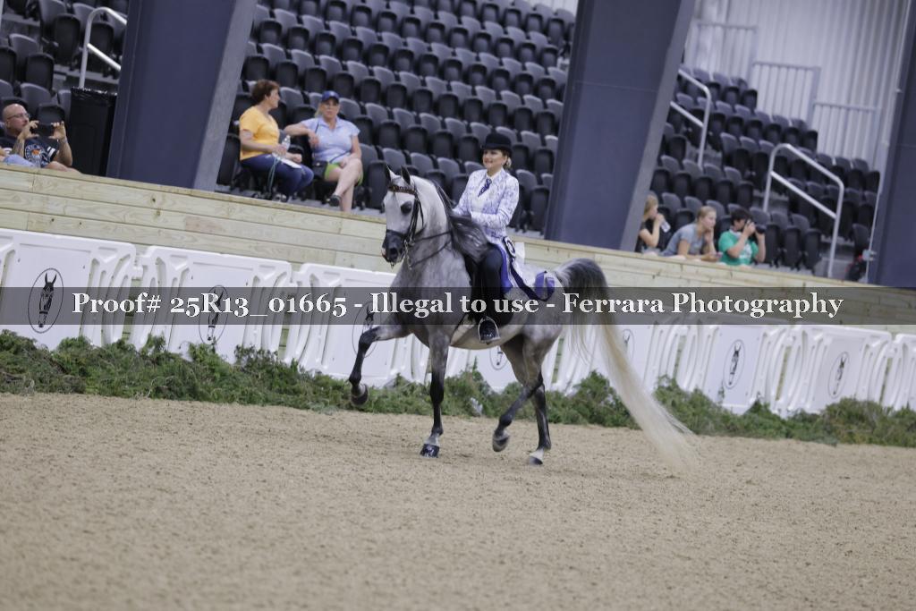 Proof 25R13_01665