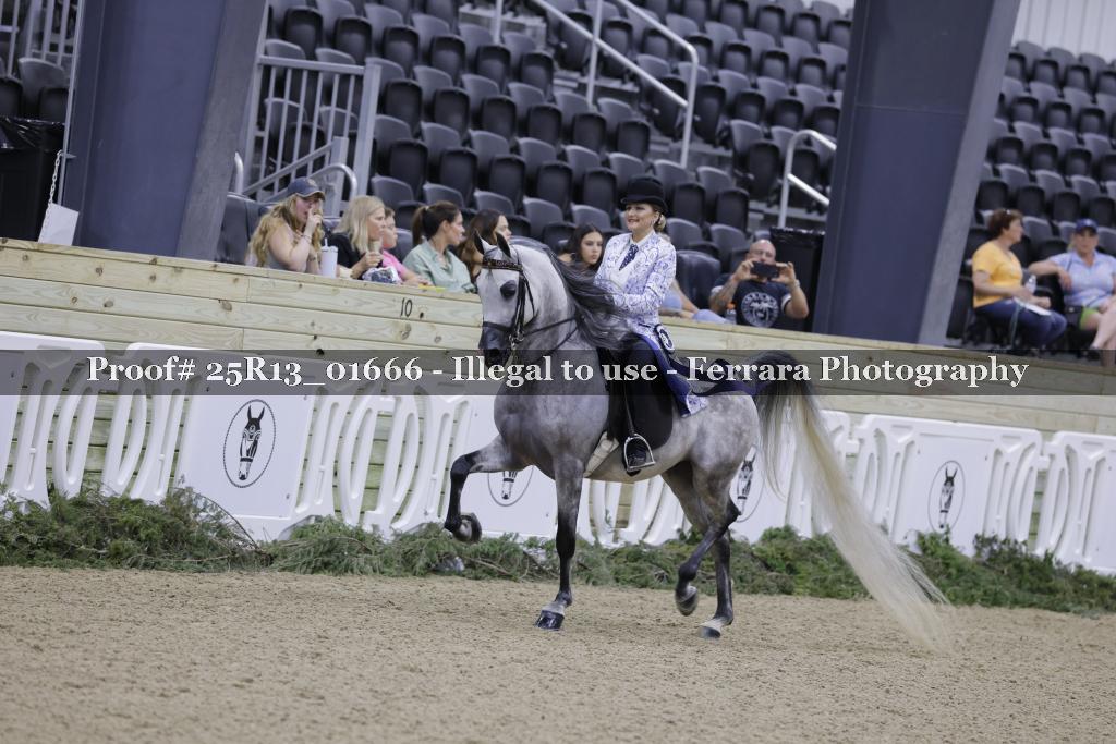 Proof 25R13_01666