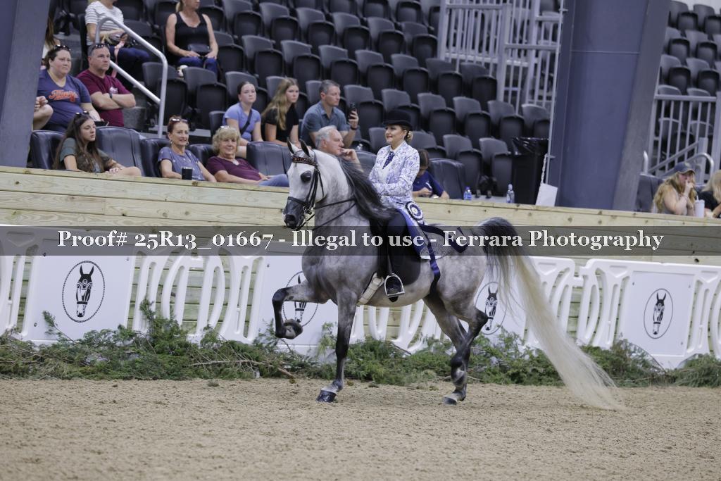 Proof 25R13_01667