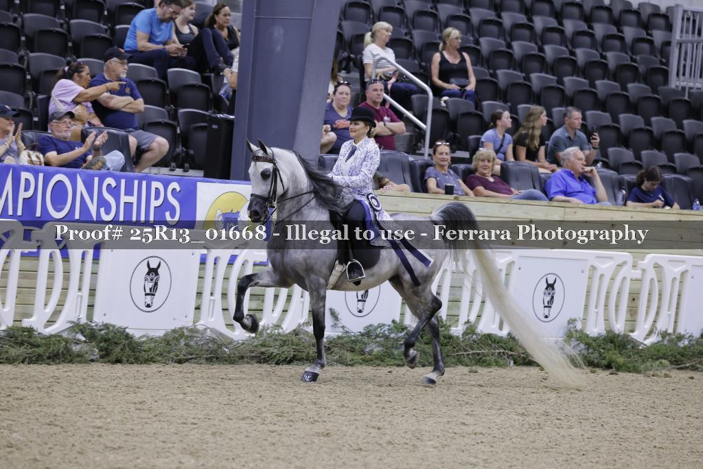 Proof 25R13_01668