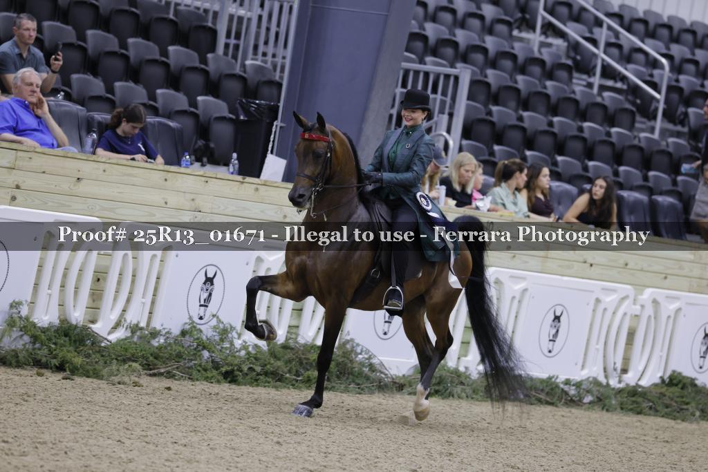 Proof 25R13_01671