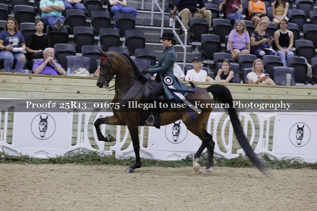 Proof 25R13_01675