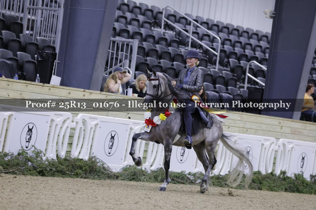 Proof 25R13_01676