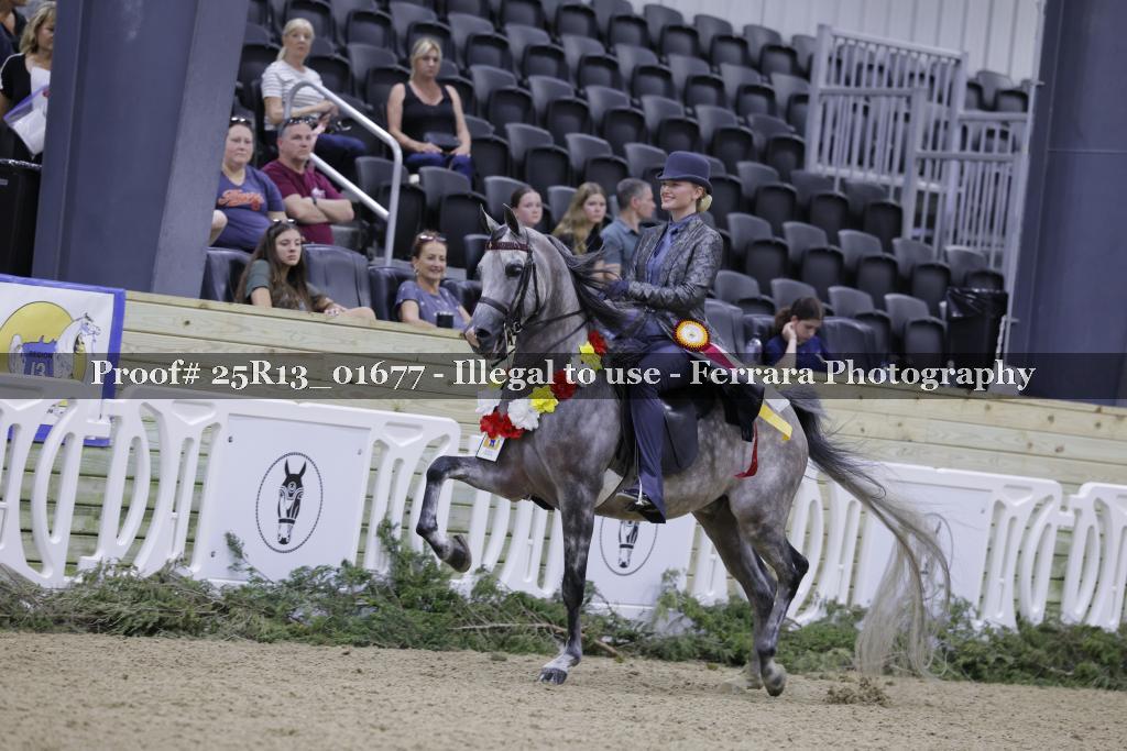 Proof 25R13_01677
