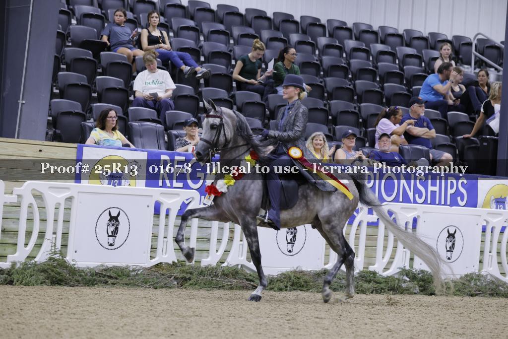Proof 25R13_01678