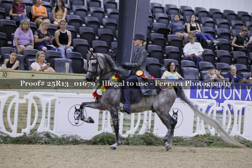 Proof 25R13_01679