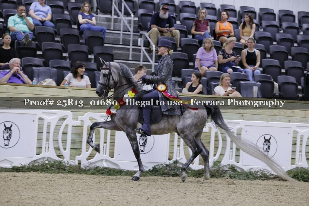Proof 25R13_01680