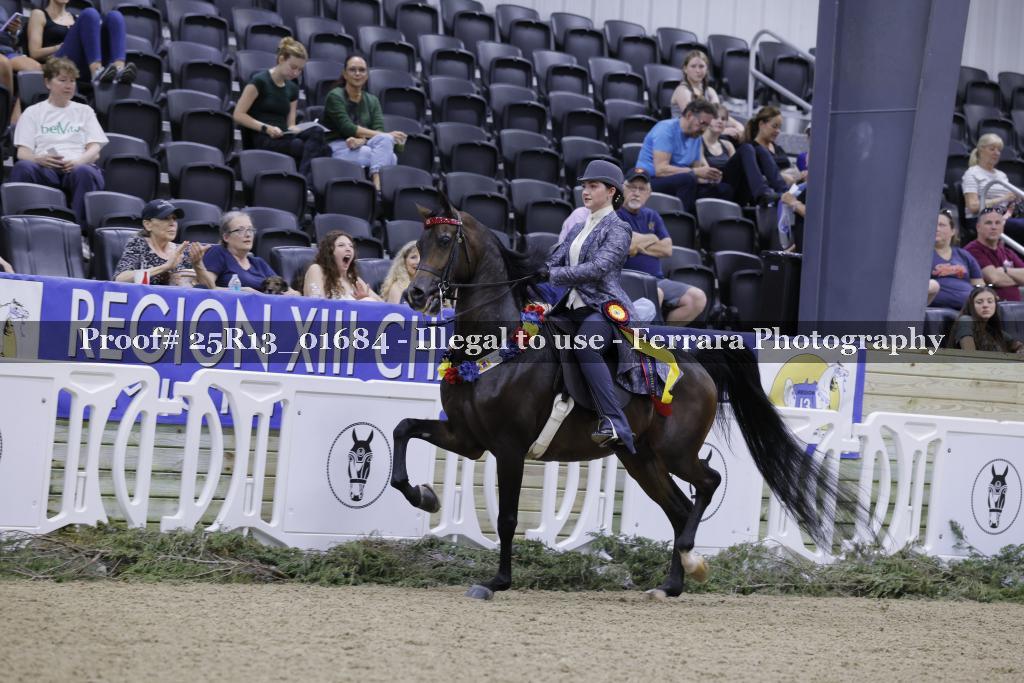 Proof 25R13_01684