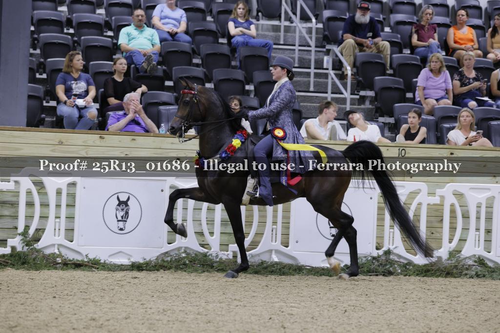 Proof 25R13_01686