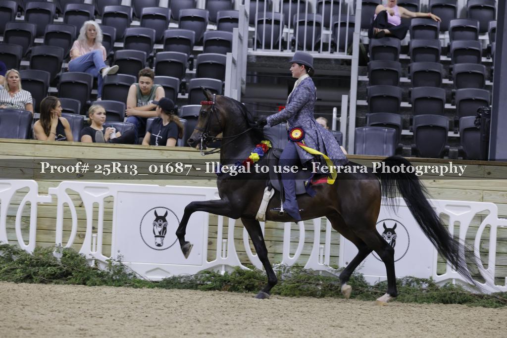 Proof 25R13_01687