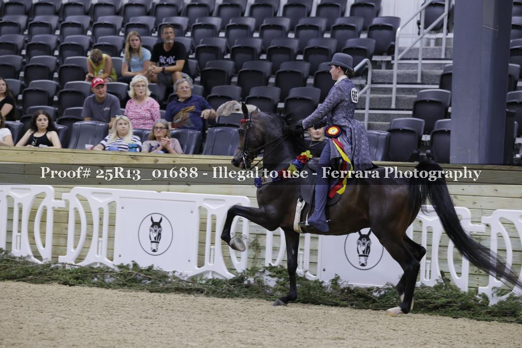 Proof 25R13_01688
