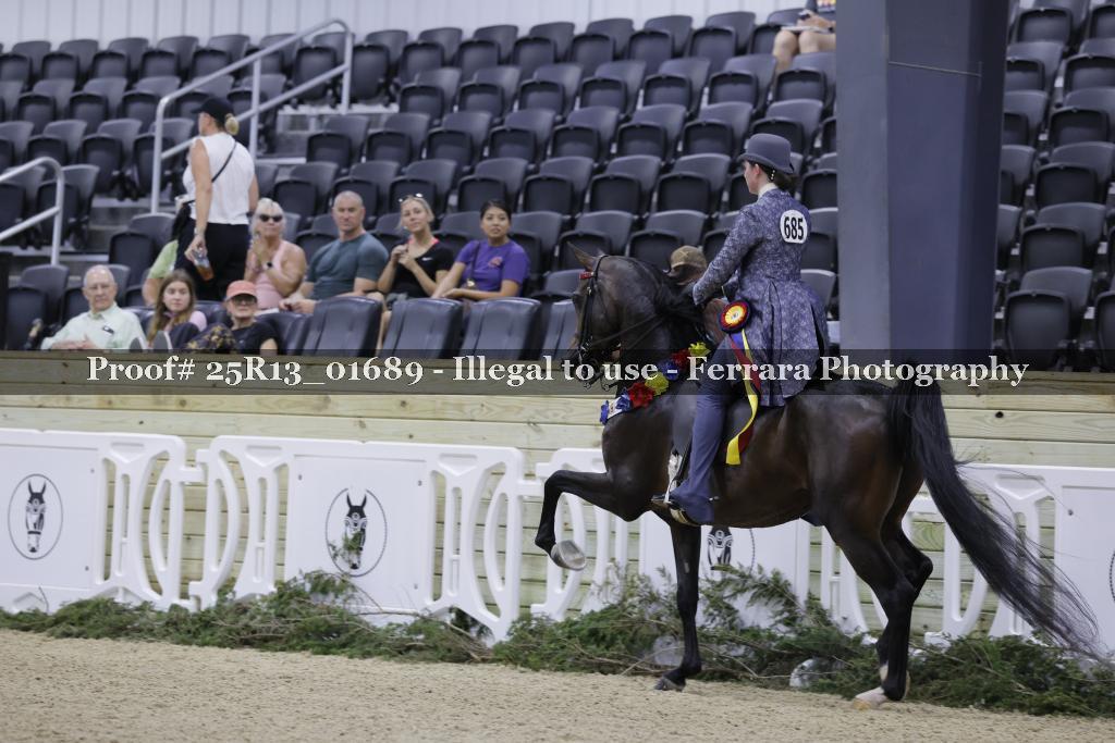 Proof 25R13_01689