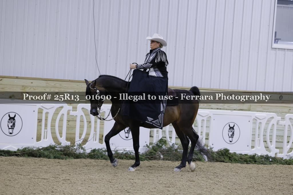 Proof 25R13_01690
