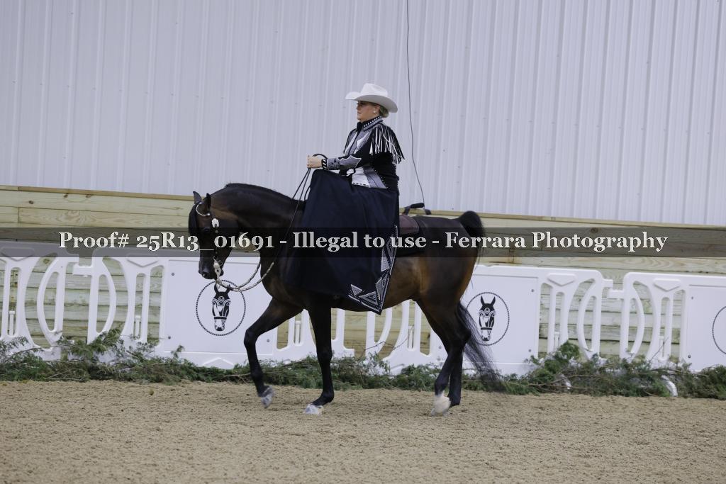 Proof 25R13_01691