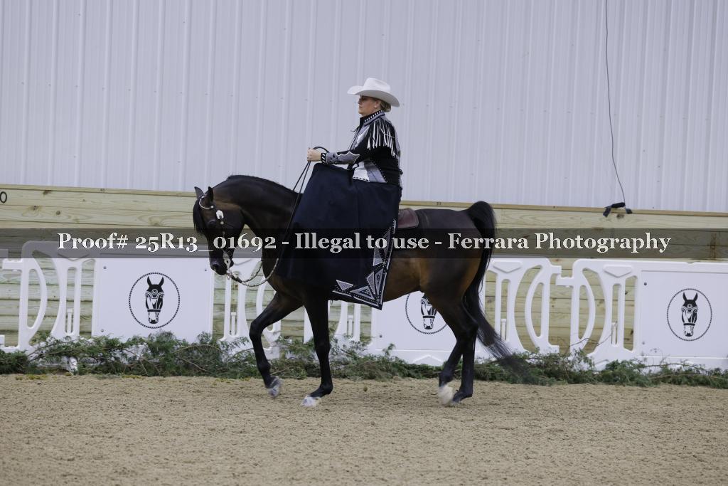 Proof 25R13_01692
