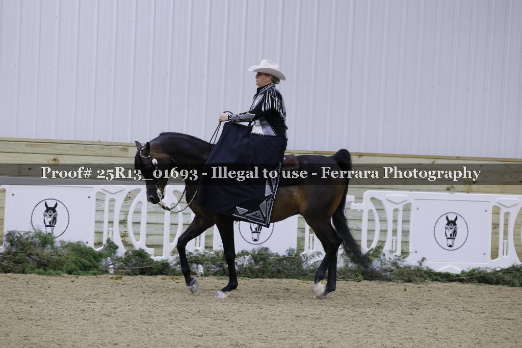 Proof 25R13_01693