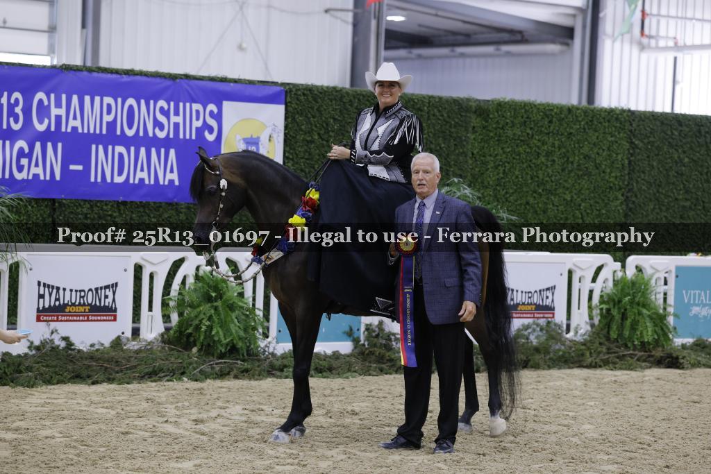 Proof 25R13_01697