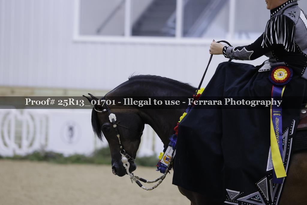 Proof 25R13_01701