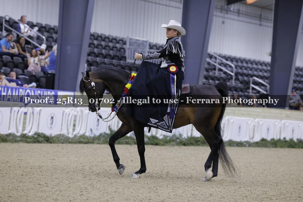 Proof 25R13_01702