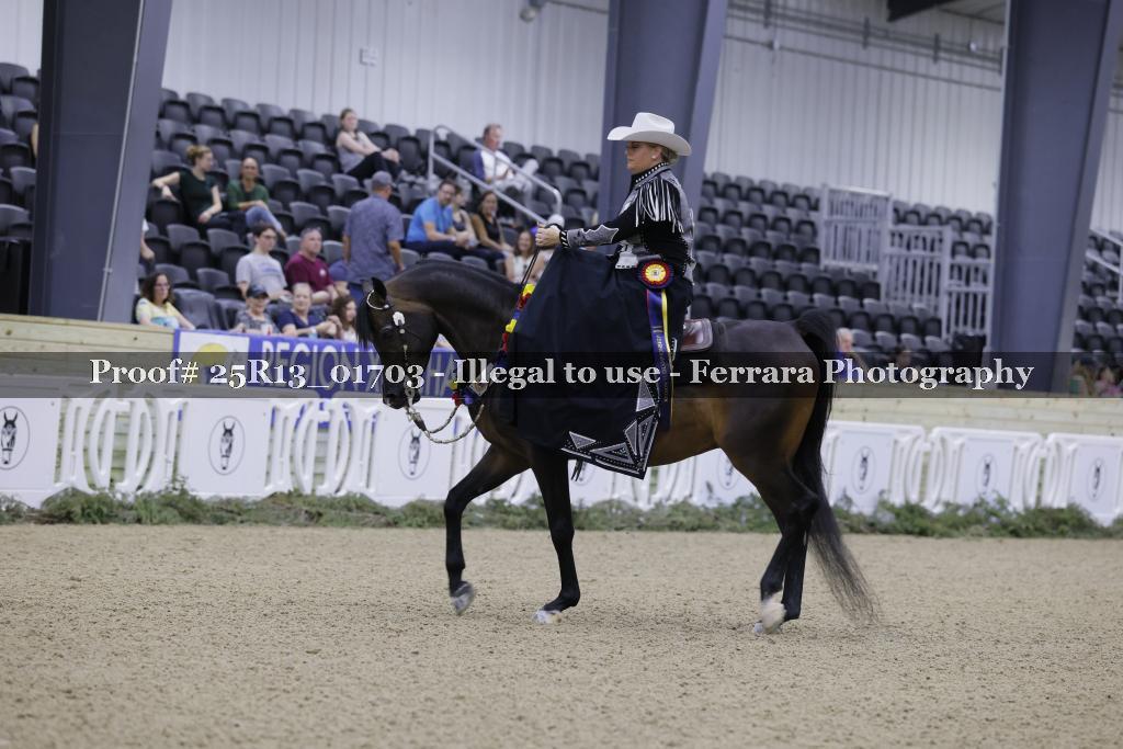Proof 25R13_01703