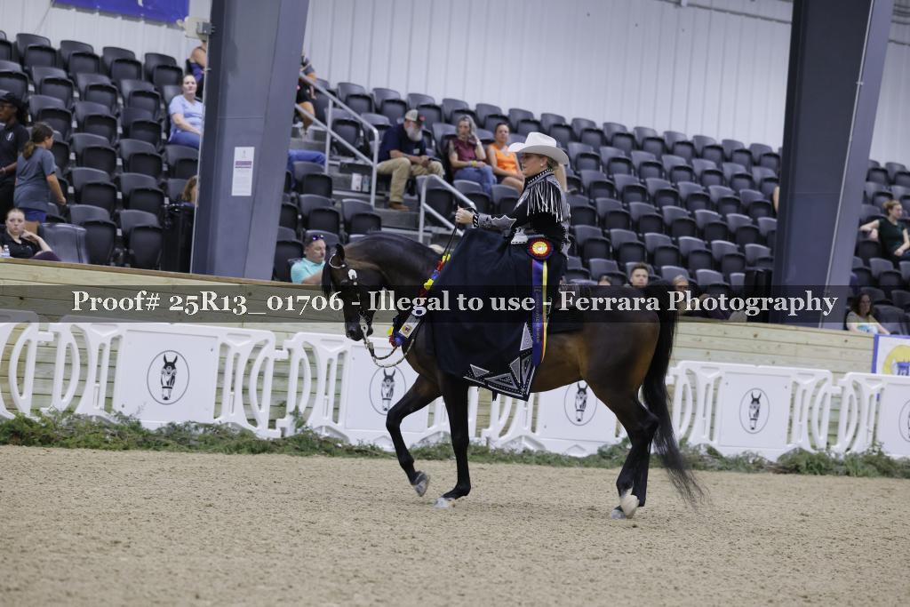 Proof 25R13_01706