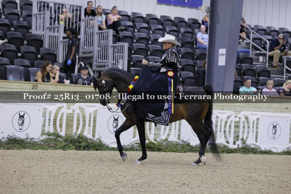 Proof 25R13_01708