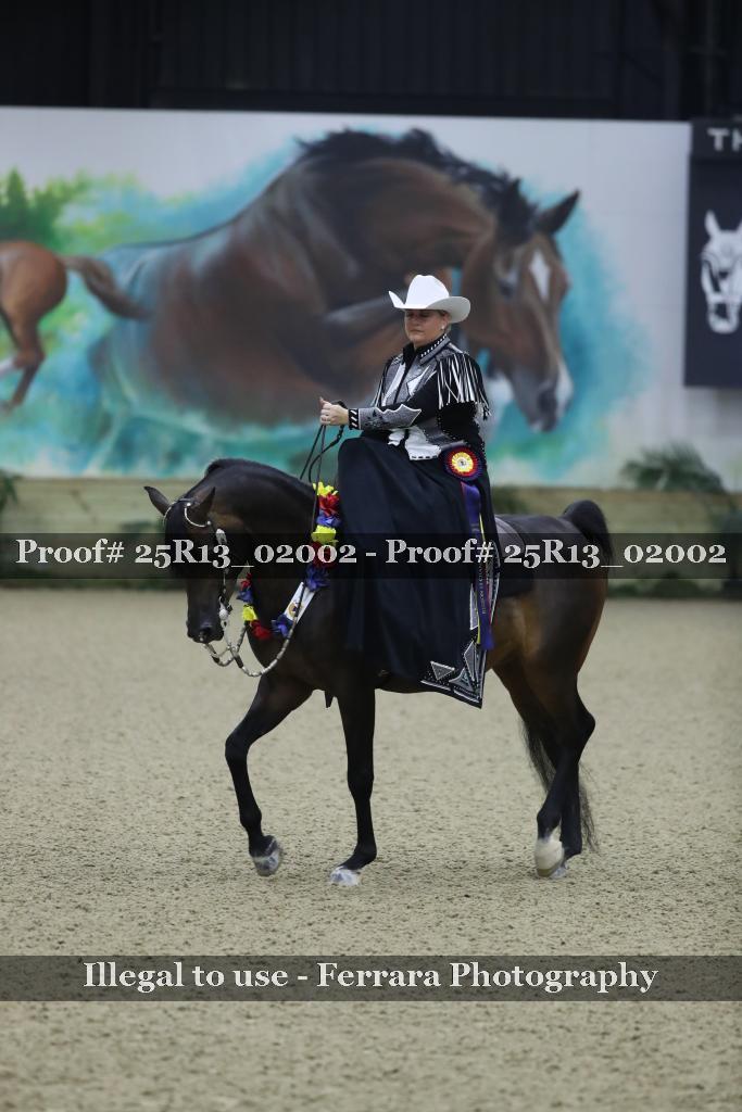 Proof 25R13_02002