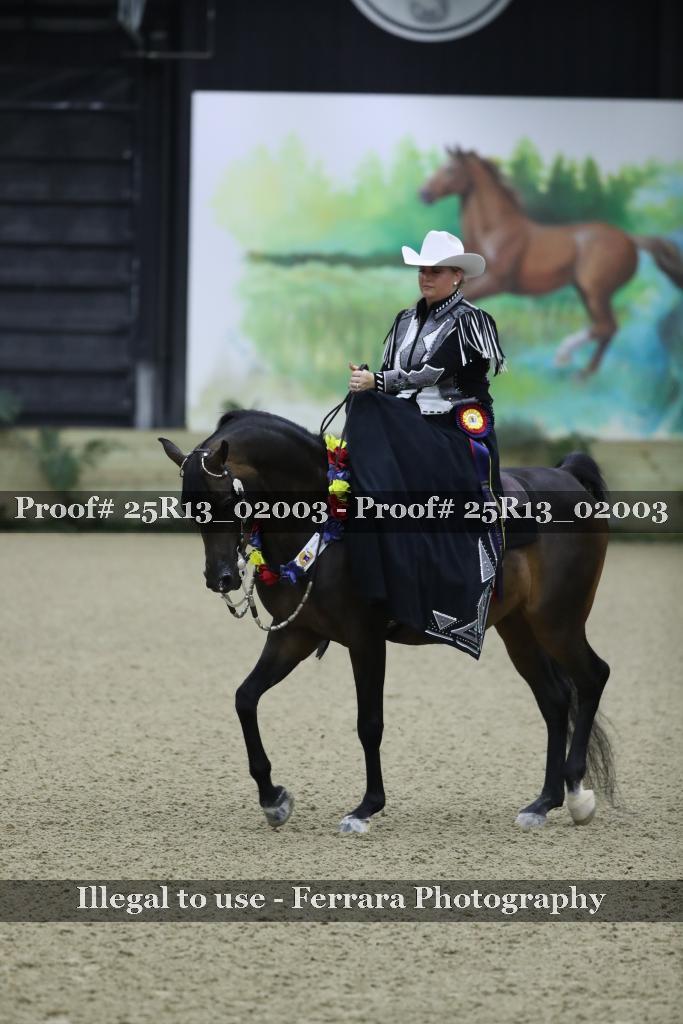 Proof 25R13_02003