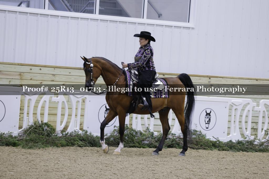 Proof 25R13_01713