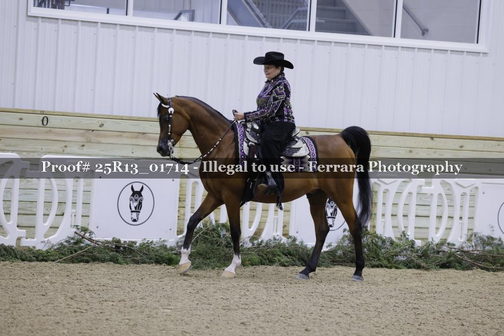 Proof 25R13_01714