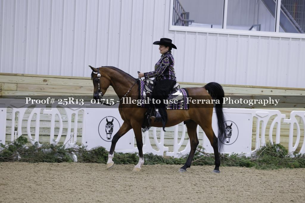 Proof 25R13_01715