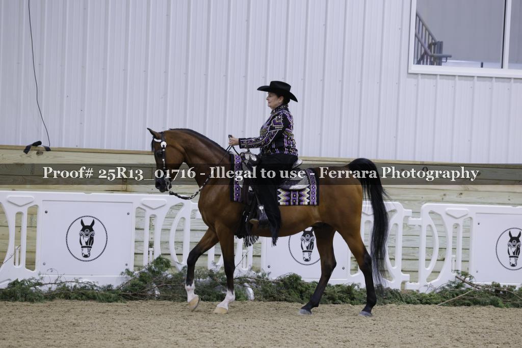 Proof 25R13_01716