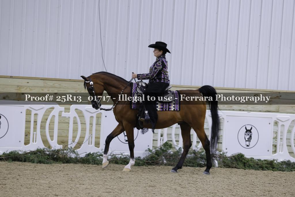 Proof 25R13_01717