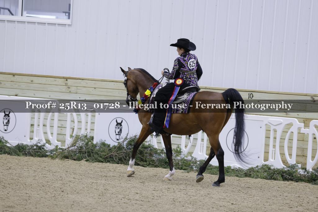 Proof 25R13_01728