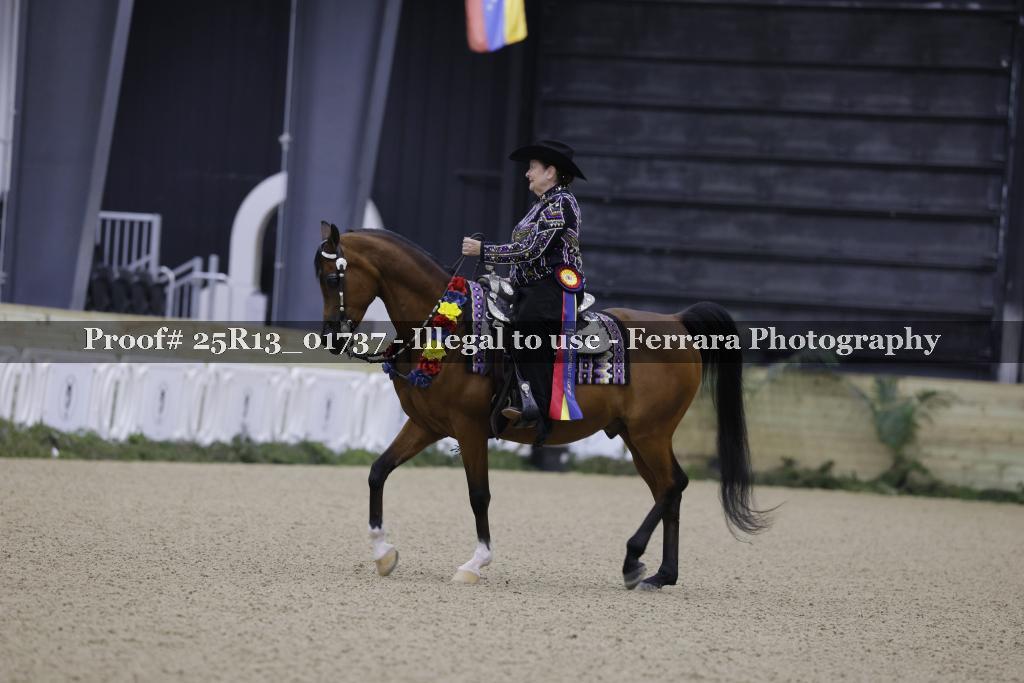 Proof 25R13_01737