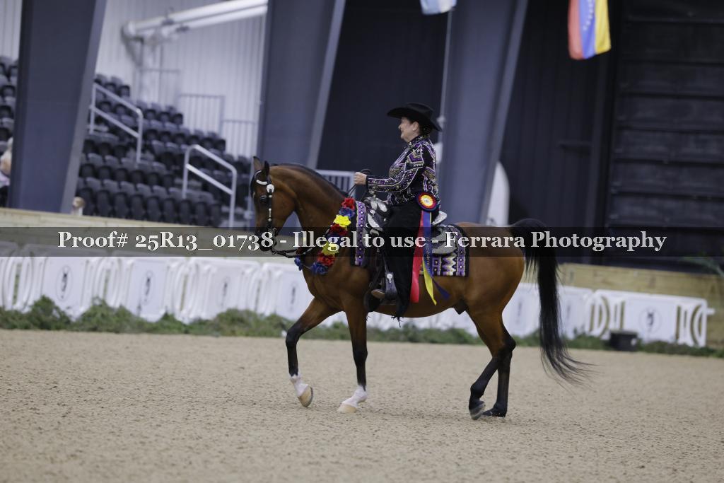 Proof 25R13_01738