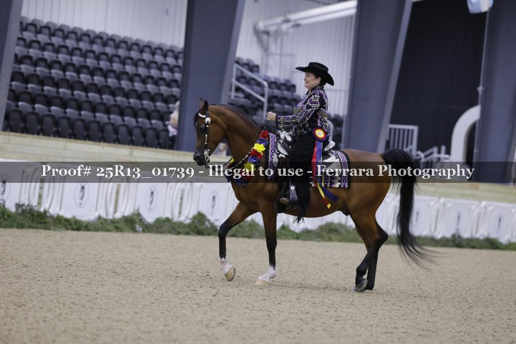 Proof 25R13_01739